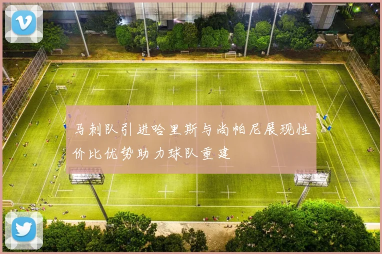 马刺队引进哈里斯与尚帕尼展现性价比优势助力球队重建